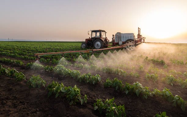Best Pest Control Treatment  in Cuthbert, GA