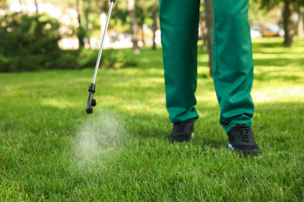 Best Insect Control  in Cuthbert, GA