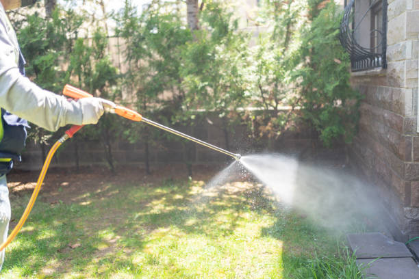 Best Affordable Pest Control Services  in Cuthbert, GA
