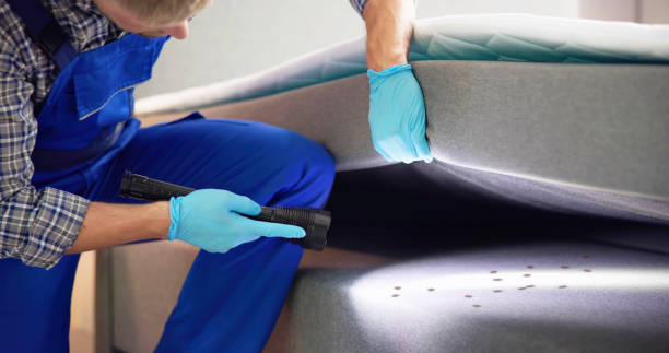 Best Pest Removal Services  in Cuthbert, GA