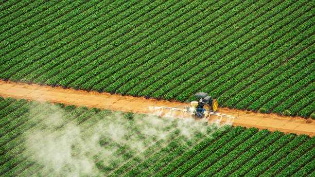 Best Best Pest Control Companies  in Cuthbert, GA
