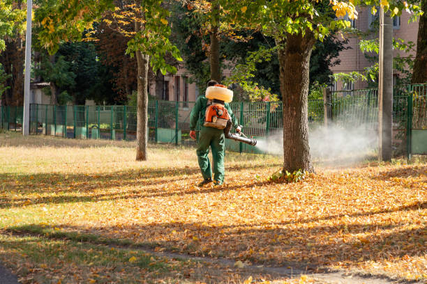 Best Residential Pest Control  in Cuthbert, GA