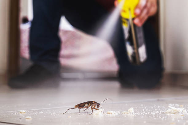 Best Wasp Removal Services  in Cuthbert, GA