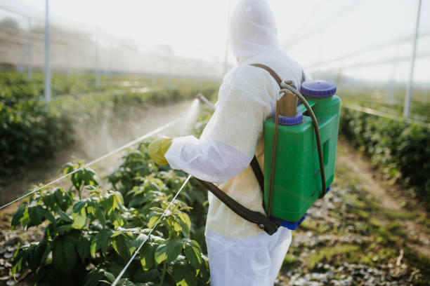 Best Flea Control Services  in Cuthbert, GA
